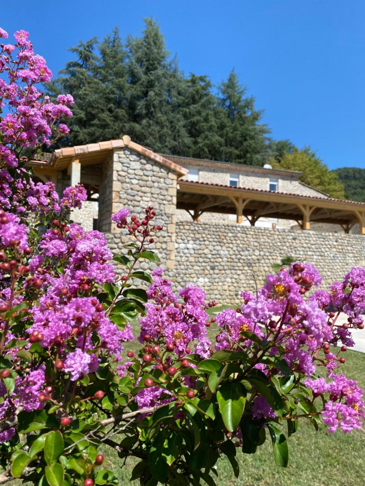 Domaine Les Buis Bed and Breakfast Saint-Fortunat-sur-Eyrieux Eksteriør billede